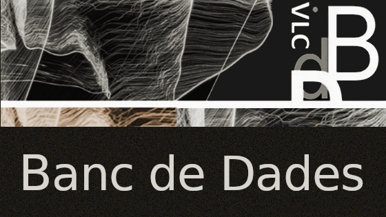 Acceso al banco de datos estadístico