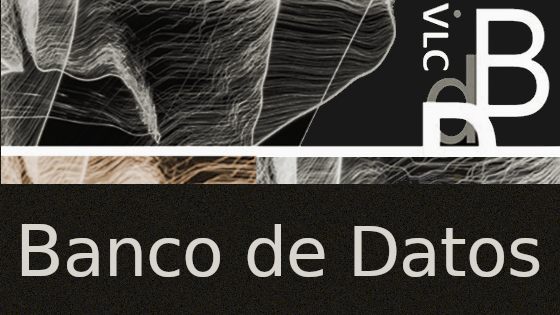 Acceso al banco de datos estadístico