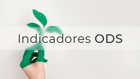 Acceso a indicadores ods
